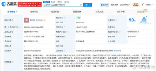 云南低空飛行運(yùn)營(yíng)服務(wù)公司成立 注冊(cè)資本1.5億，聚焦信息技術(shù)咨詢服務(wù)